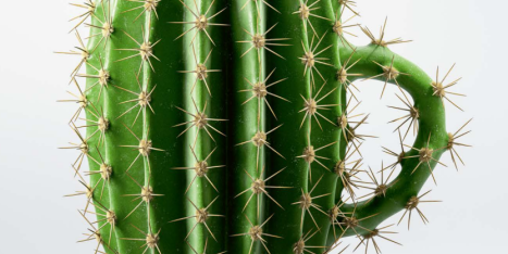 Finger weg vom Alkohol am Steuer