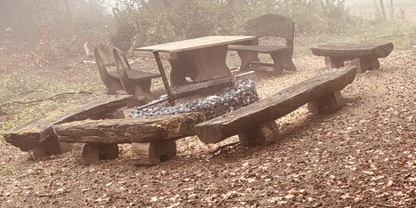 Waldbrandgefahrenstufe gesenkt